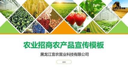 农业招商农产品宣传PPT模板