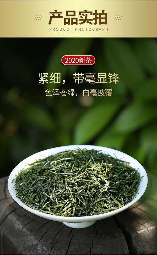 振源茶叶 信阳特产信阳毛尖100g 叶芽各半